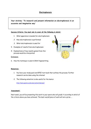 Electrophoresis - independent research and grading sheet
