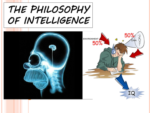 The Philosophy of Intelligence