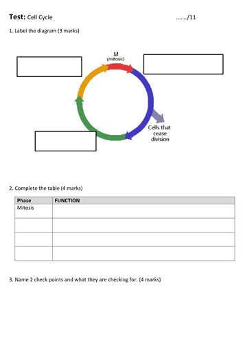 Cell cycle quick AFL assessment and answers AS Biology