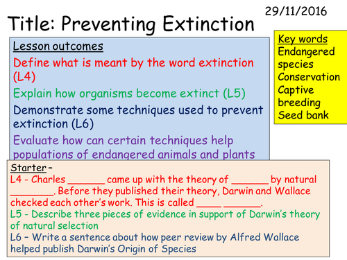 B3 2.7 Preventing extinction