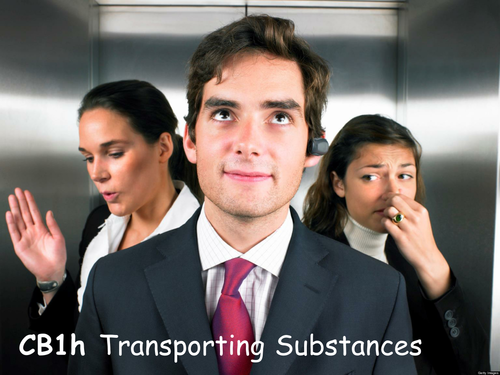 Edexcel CB1h Transporting Substances