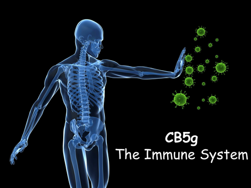 Edexcel CB5g The Immune System