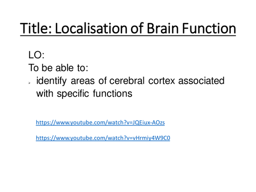 A level psychology biopsychology localisation of brain function