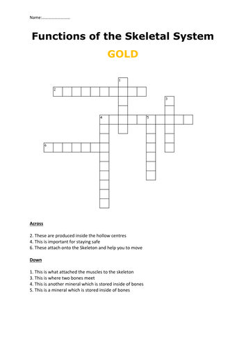 Edexcel GCSE PE 2016 9-1 Musculo-Skeletal system