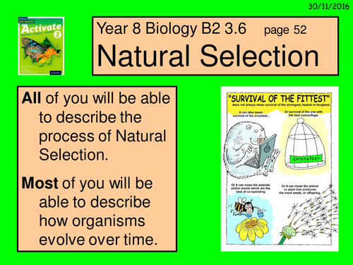 A digital version of the Year 8 Biology B2 3.6 "Natural Selection" lesson.