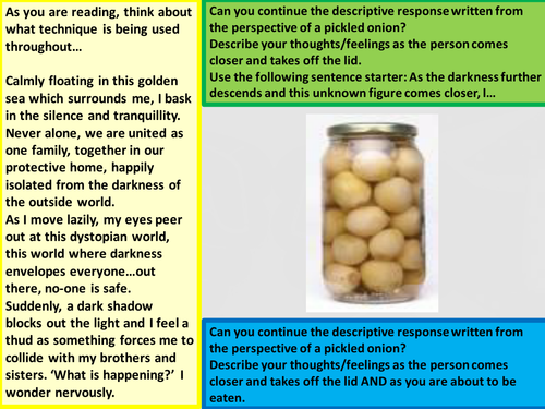 Mini descriptive SOL New Spec Language Paper 2 writing