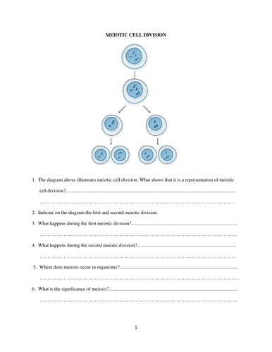 Meiotic Cell Division