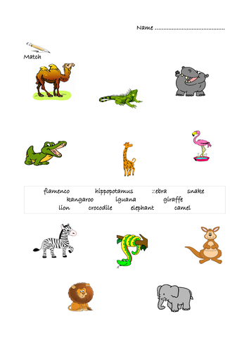 Animals | Teaching Resources