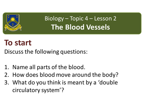 B4.2 - The blood vessels