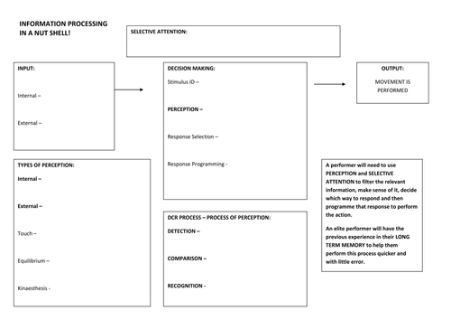 AQA A Level PE - Information Processing worksheet