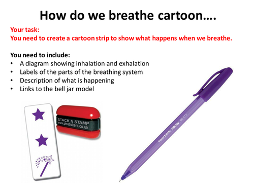 KS3 respiration gas exchange