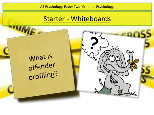 Cognitive psychology. Offender profiling. Cognitive and ethical interviewing.