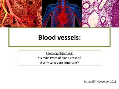 Blood vessels | Teaching Resources