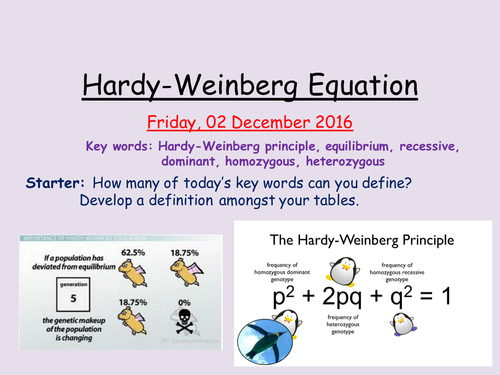 AS Biology- Hardy-Weinberg Principle and Equation