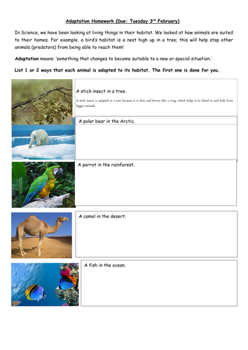 worksheet adaptation animal Worksheet Homework/ their in Adaptation (Living things worksheet adaptation animal Worksheet Homework/ their in Adaptation (Living things