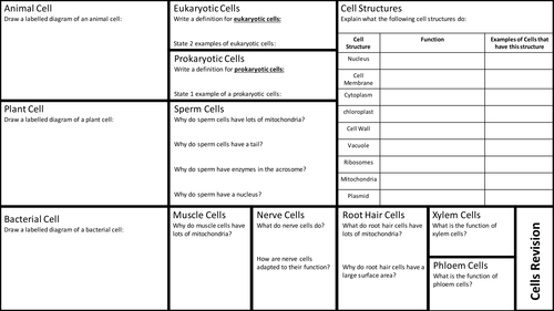 AQA GCSE Cell Structure and Transport in Cells Revision Mats.