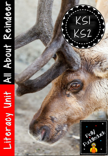 All about Reindeer (Literacy Unit for KS1 and Lower KS2)