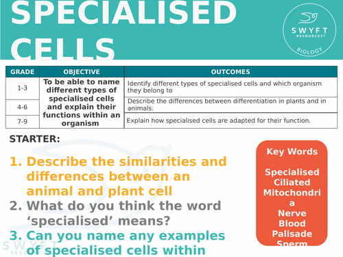 NEW Trilogy AQA GCSE (2016) Biology - Specialised Cells Lesson