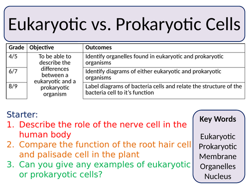 NEW Trilogy AQA GCSE (2016) Biology - Eukaryotic & Prokaryotic cells by ...