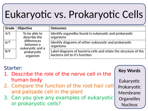 eukaryotic and prokaryotic cells differences