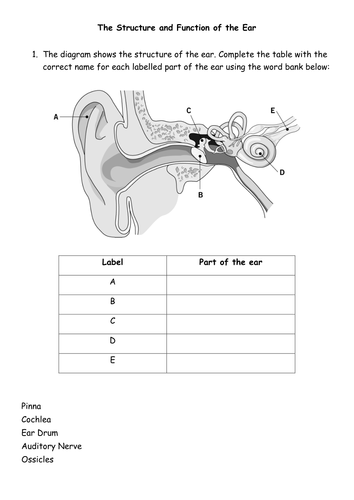 Sound Lesson 4 - Detecting Sound (to compliment Activate SOW