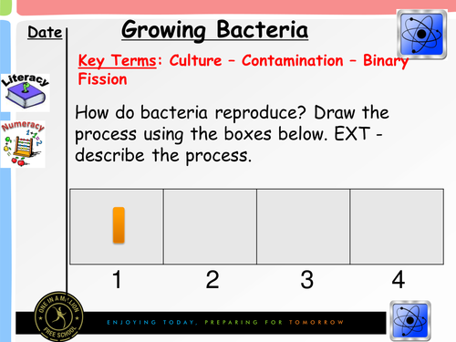 Growing Bacteria NEW 2016 GCSE