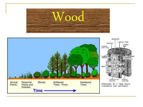 WOOD presentation