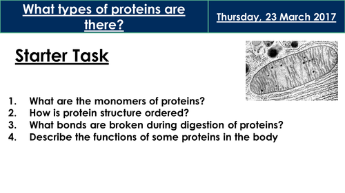 AQA AS Biology Section 1: Proteins and Enzymes