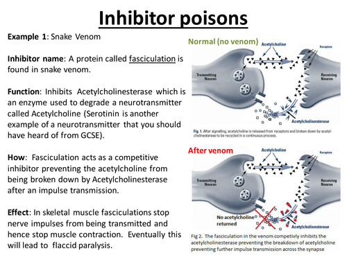 AQA AS Level Biology Section 1: Effect of Inhibitors on Enzymes