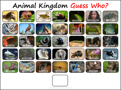 Animal Kingdom Guessing Game