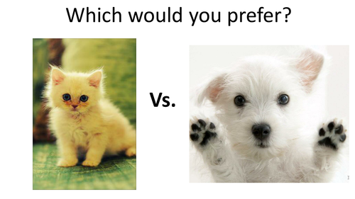 Interview Lesson- Discursive Writing Year 8