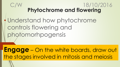 A-Level Biology B Edexcel – Topic  Phytochrome and Flowering