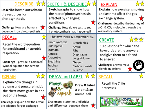 4C Photosynthesis & Respiration- KS3 Activate Revision Lesson ...