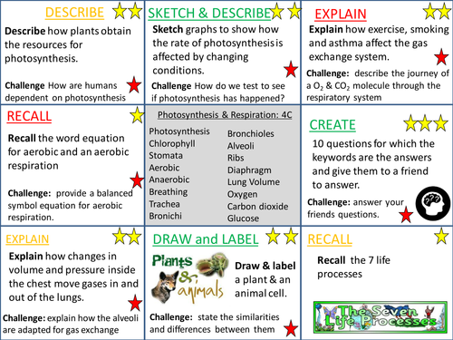 4C Photosynthesis & Respiration- KS3 Activate Revision Lesson