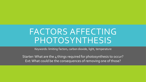 Limiting Factors of Photosynthesis lesson