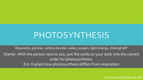 Photosynthesis lesson