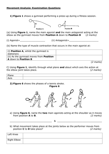 Movement Analysis Worksheet AQA GCSE PE (1-9)