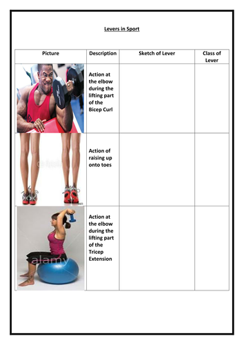 Lever Worksheet AQA GCSE PE (1-9)