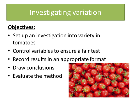 Yr 9 Genetics - Investigating variation in tomatoes ('types of variation' section of genetics)