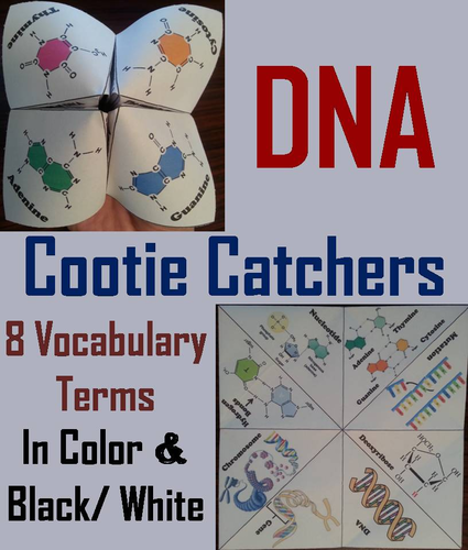 DNA Cootie Catchers