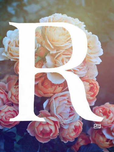 READ - DREAM - CREATE - DISPLAY