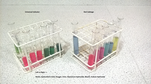 Indicator Comparison