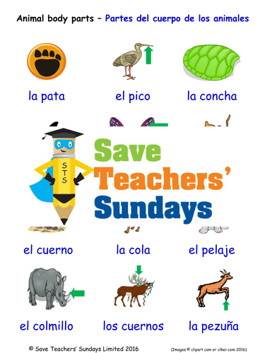 Animal Body Parts in Spanish Worksheets, Games, Activities and Flash Cards (with audio)