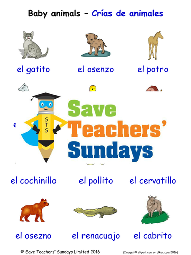 Baby Animals in Spanish Worksheets, Games, Activities and Flash Cards (with audio)