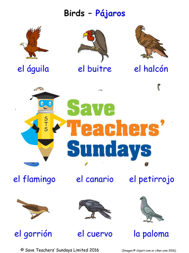 Birds in Spanish Worksheets, Games, Activities and Flash Cards (with audio)