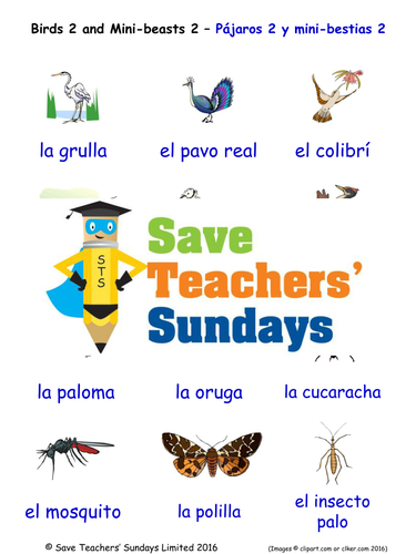Birds (2) and Mini Beasts (2)  in Spanish Worksheets, Games, Activities and Flash Cards (with audio)