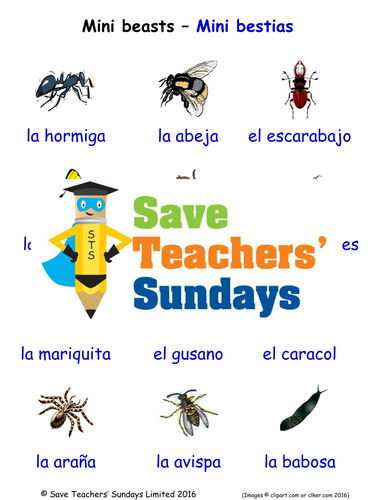 Mini Beasts in Spanish Worksheets, Games, Activities and Flash Cards (with audio)