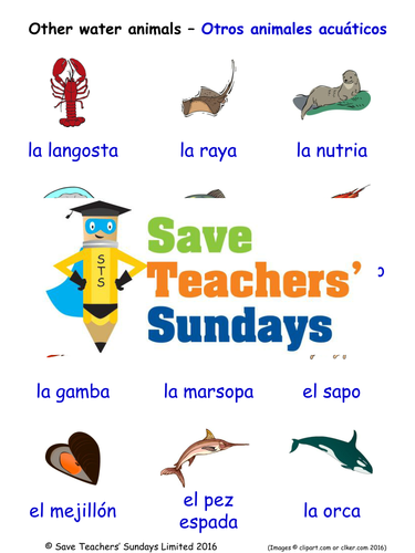 Other Water Animals in Spanish Worksheets, Games, Activities and Flash  Cards (with audio) | Teaching Resources