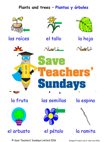 Plants and Trees in Spanish Worksheets, Games, Activities and Flash Cards (with audio)