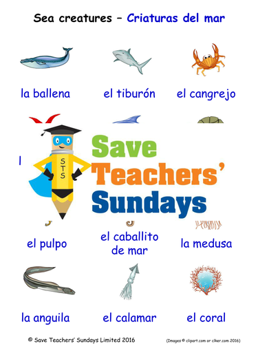 Sea Creatures in Spanish Worksheets, Games, Activities and Flash Cards (with audio)
